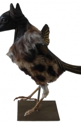 cheval-oiseau